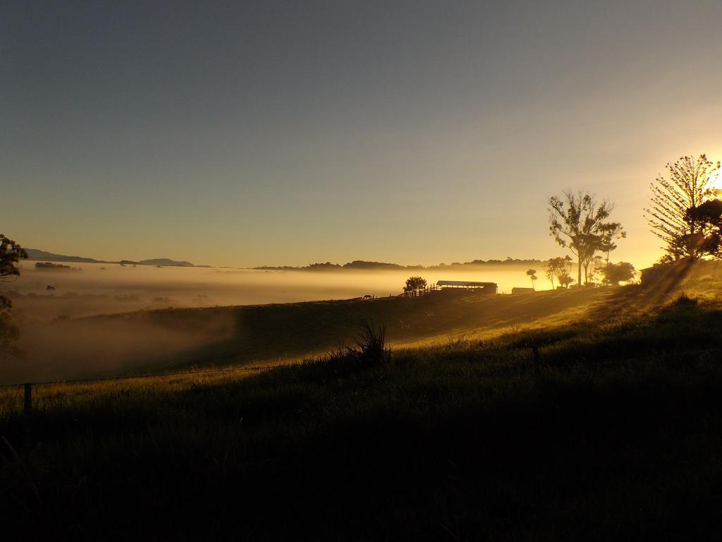 Tinaroo Sunset Retreat Bed and Breakfast Barrine Exteriör bild